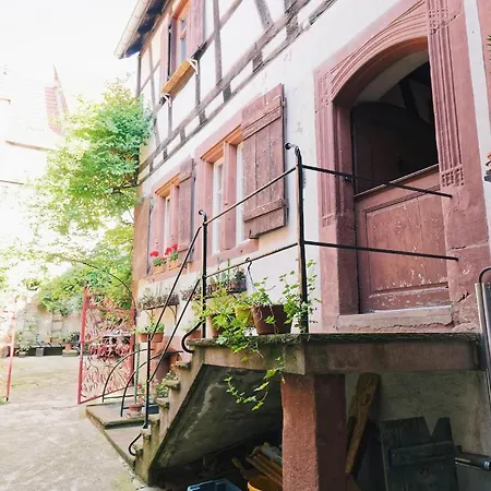Le Relais Des Seigneurs - 5 Mn Royal Palace De Kirrwiller Apartment *