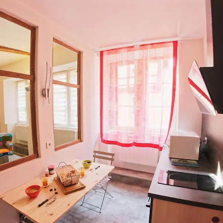 Apartment Le Relais Des Seigneurs - 5 Mn Royal Palace De Kirrwiller