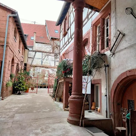 Le Relais Des Seigneurs - 5 Mn Royal Palace De Kirrwiller Apartman