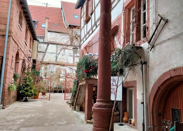 Le Relais Des Seigneurs - 5 Mn Royal Palace De Kirrwiller 아파트